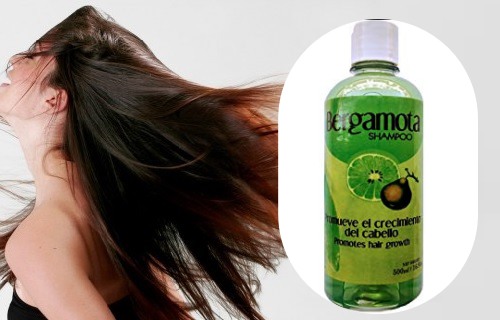 Shampoo De Bergamota Beneficios Y Como Se Hace